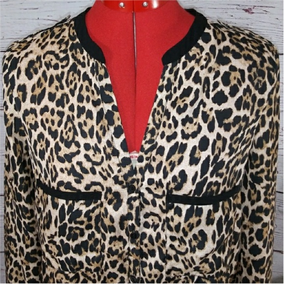 Zara Basic Women Animal Print V-NeckBlouse Sz S - Picture 5 of 7